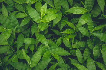 Free Photo of above, aerial, background