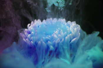 Free Photo of abstract, acrylic, aquatic Free Photo of abstract, acrylic, aquatic