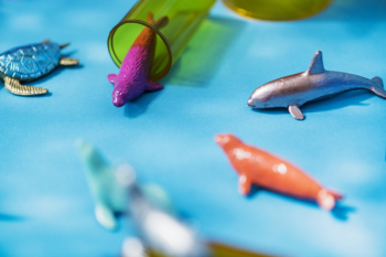Free Photo of abstract, animal, background Free Photo of abstract, animal, background