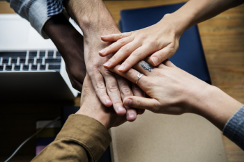 Free Photo of achievement, agreement, arms Free Photo of achievement, agreement, arms