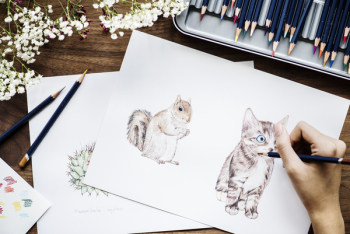 Free Photo of adorable, animal, art