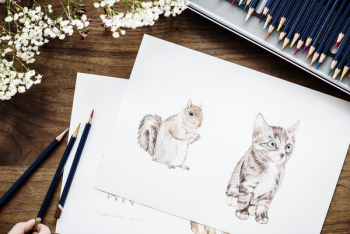 Free Photo of adorable, animal, art