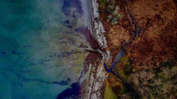 Free Photo of aerial, photography, woods Free Photo of aerial, photography, woods