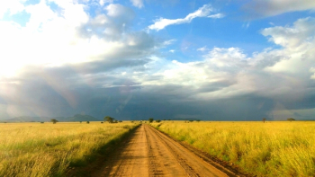 Free Photo of Africa, Serengeti, African Plain Free Photo of Africa, Serengeti, African Plain