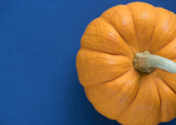 Free Photo of agriculture, autumn, cook Free Photo of agriculture, autumn, cook