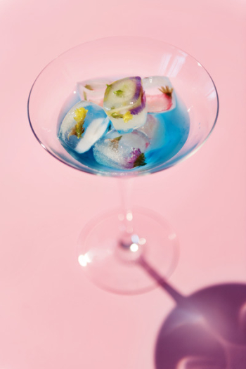 Free Photo of alcohol, alcoholic, beverage Free Photo of alcohol, alcoholic, beverage