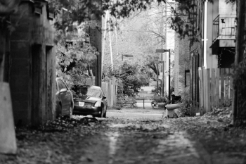 Free Photo of alley, street, fences Free Photo of alley, street, fences