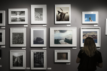 Free Photo of alone, art gallery, caucasian Free Photo of alone, art gallery, caucasian