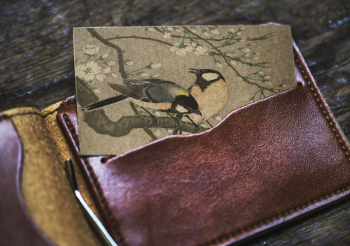 Free Photo of animal, antique, art Free Photo of animal, antique, art