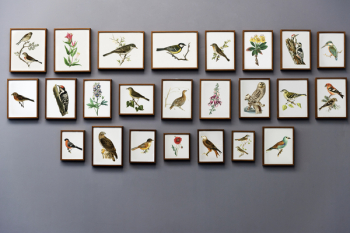 Free Photo of animal, antique, art Free Photo of animal, antique, art