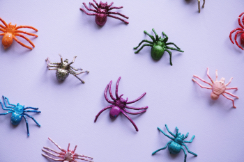 Free Photo of animal, artificial, bug Free Photo of animal, artificial, bug