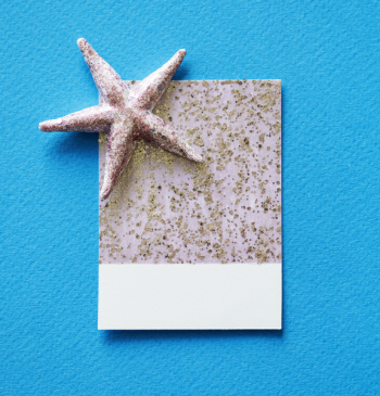 Free Photo of animal, background, card