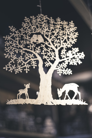 Free Photo of animal, tree, nature Free Photo of animal, tree, nature