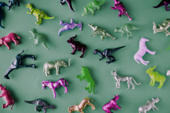 Free Photo of animals, assortment, background