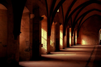Free Photo of arches, ceiling, building Free Photo of arches, ceiling, building