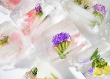 Free Photo of artisan, background, bartending Free Photo of artisan, background, bartending