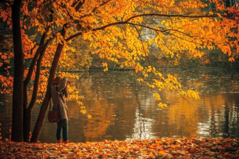 Free Photo of autumn, fall, leaves Free Photo of autumn, fall, leaves