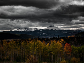 Free Photo of autumn, fall, trees Free Photo of autumn, fall, trees
