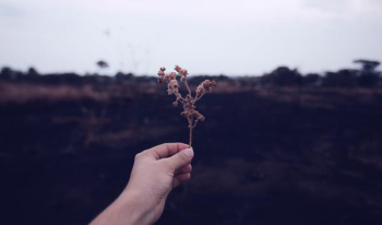 Free Photo of autumn, leaf, hand Free Photo of autumn, leaf, hand