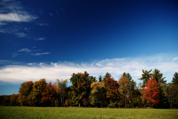 Free Photo of autumn, trees, colors Free Photo of autumn, trees, colors