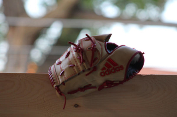 Free Photo of Baseball, Baseball Glove, Glove Free Photo of Baseball, Baseball Glove, Glove
