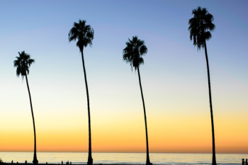 Free Photo of beach, ocean, sea Free Photo of beach, ocean, sea