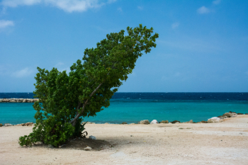 Free Photo of beach, sand, water
