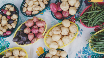 Free Photo of Beans, farm, food Free Photo of Beans, farm, food