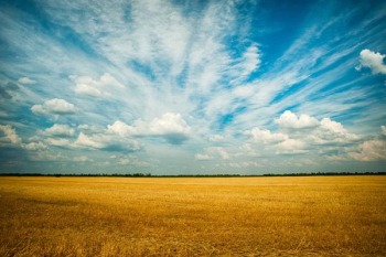 Free Photo of beautiful, fam, sky Free Photo of beautiful, fam, sky