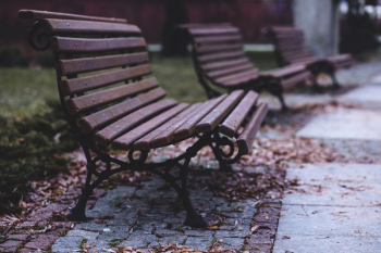 Free Photo of bench, park, sit Free Photo of bench, park, sit