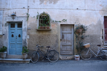 Free Photo of bicycle, bike, wall Free Photo of bicycle, bike, wall