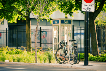Free Photo of bikes, bicycles, street Free Photo of bikes, bicycles, street