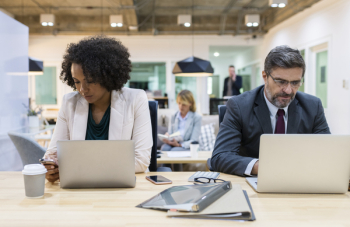Free Photo of black african american, browsing, business Free Photo of black african american, browsing, business