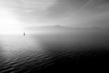 Free Photo of black and white, sailboat, water Free Photo of black and white, sailboat, water