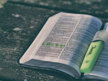 Free Photo of book, bible, read