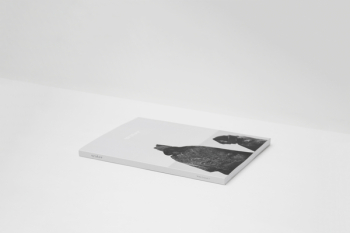 Free Photo of book, read, knowledge
