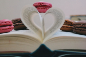 Free Photo of book, read, study