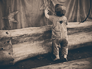 Free Photo of boy, child, kid Free Photo of boy, child, kid
