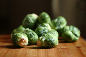 Free Photo of brussels sprouts, vegetables, green Free Photo of brussels sprouts, vegetables, green