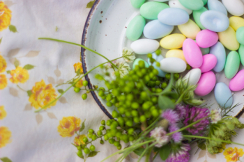 Free Photo of candy, flowers, plants Free Photo of candy, flowers, plants
