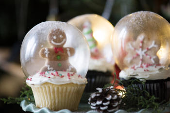 Free Photo of christmas, holiday, christmas day Free Photo of christmas, holiday, christmas day