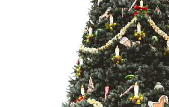 Free Photo of christmas, tree, decor Free Photo of christmas, tree, decor