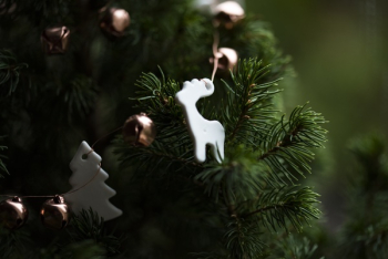 Free Photo of christmas, tree, decor Free Photo of christmas, tree, decor