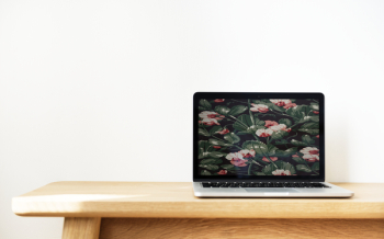 Free Photo of clean, device, digital device Free Photo of clean, device, digital device