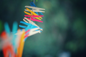 Free Photo of clothes pins, clothes line, laundry Free Photo of clothes pins, clothes line, laundry