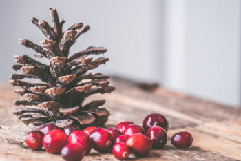 Free Photo of cranberries, pine cone, christmas