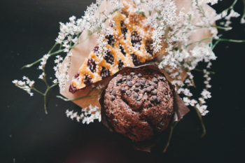 Free Photo of cupcake, muffin, pie