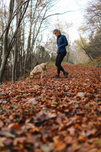 Free Photo of dog, walking, hiking