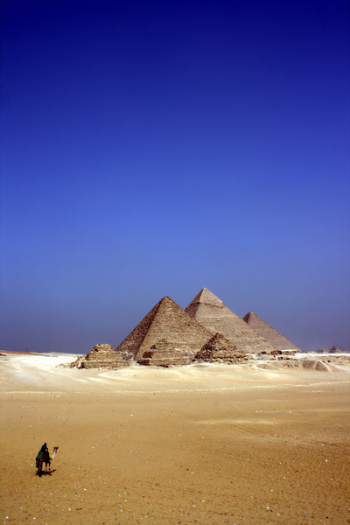Free Photo of egypt, desert, animals Free Photo of egypt, desert, animals