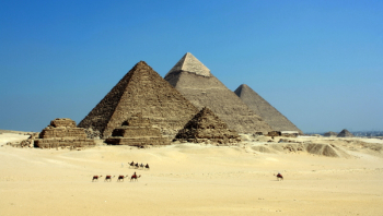 Free Photo of egypt, desert, animals Free Photo of egypt, desert, animals